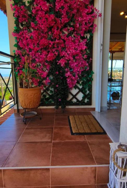Photo of Patio Balcony in Kato Diminio