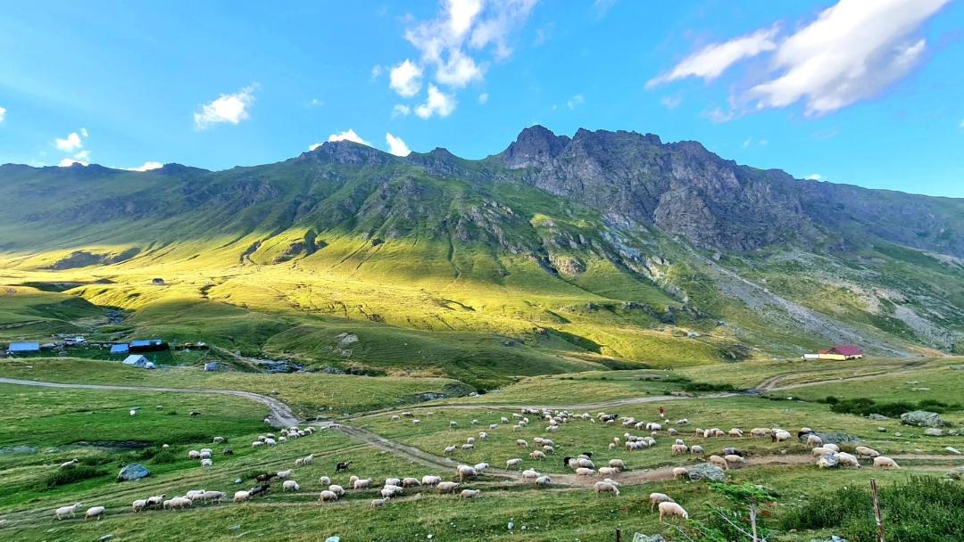 Photo of Others in Kukes County