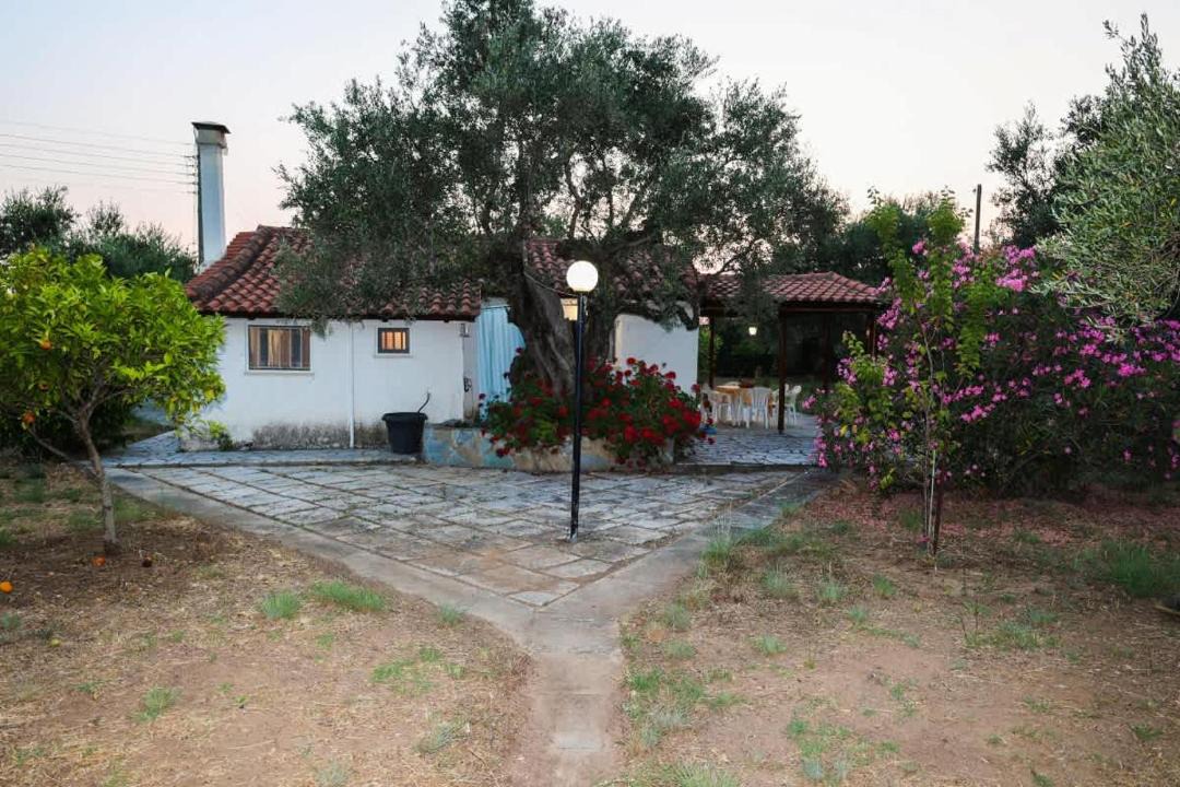 Photo of Others in Kiparissia