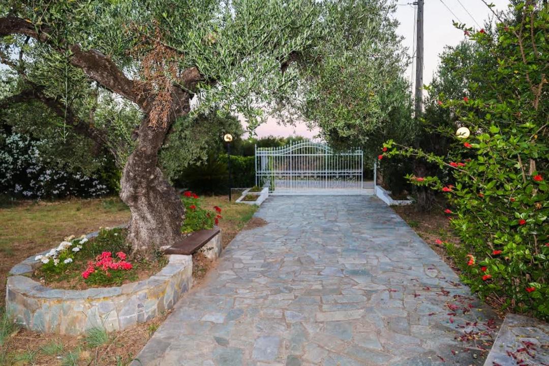 Photo of Others in Kiparissia