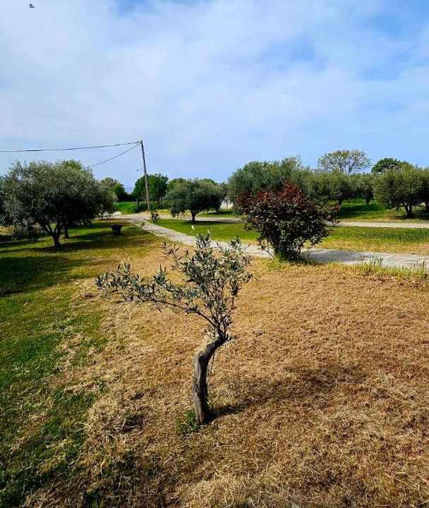 Photo of Others in Alexandroupoli