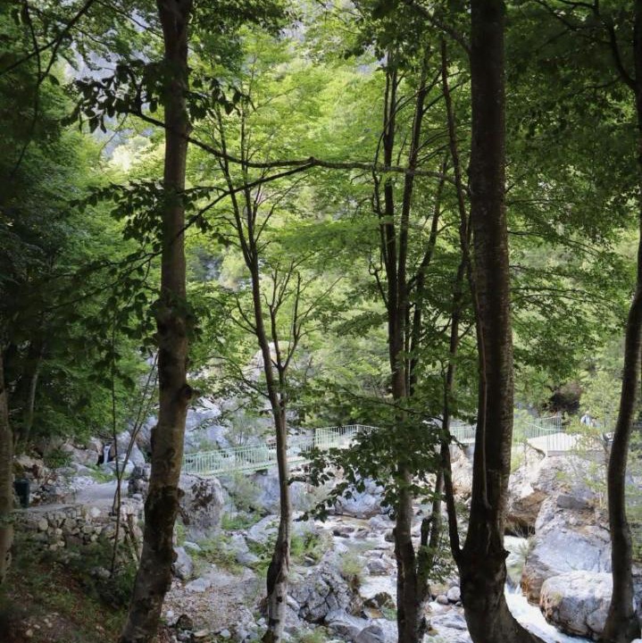 Photo of Others in Kukes County