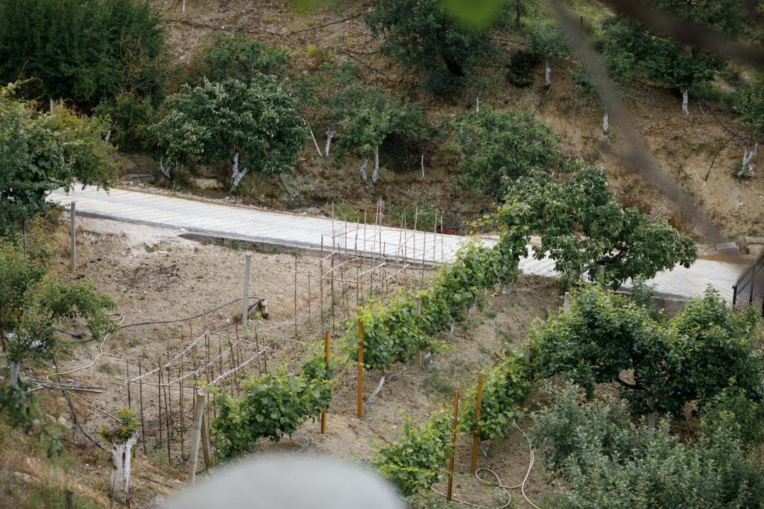 Photo of Others in Gjirokaster