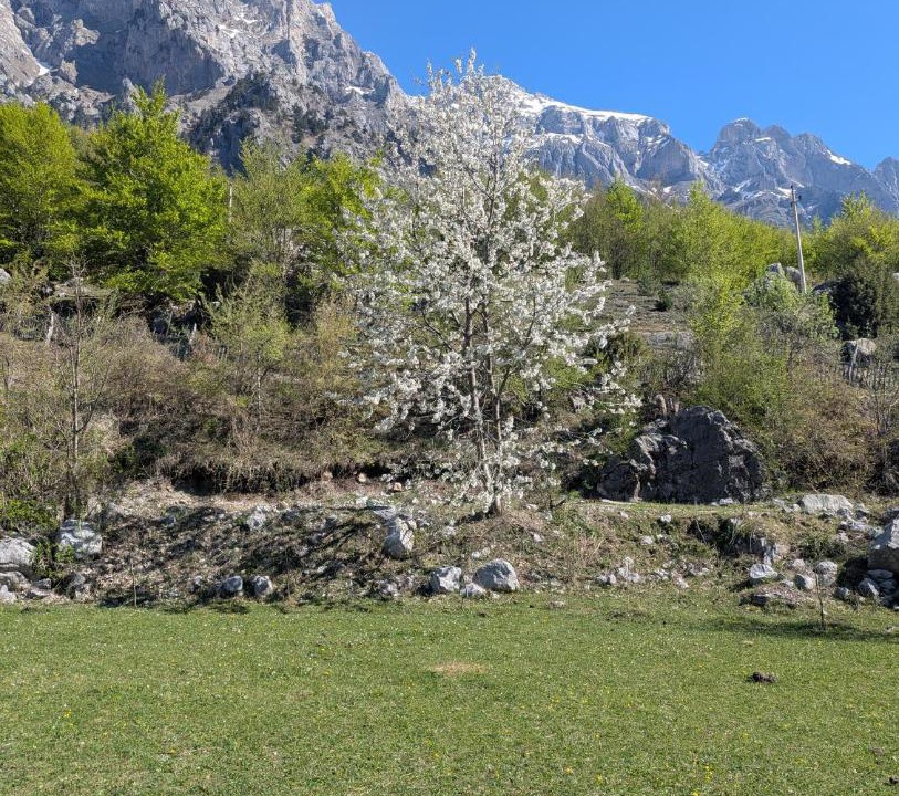 Photo of Others in Valbone