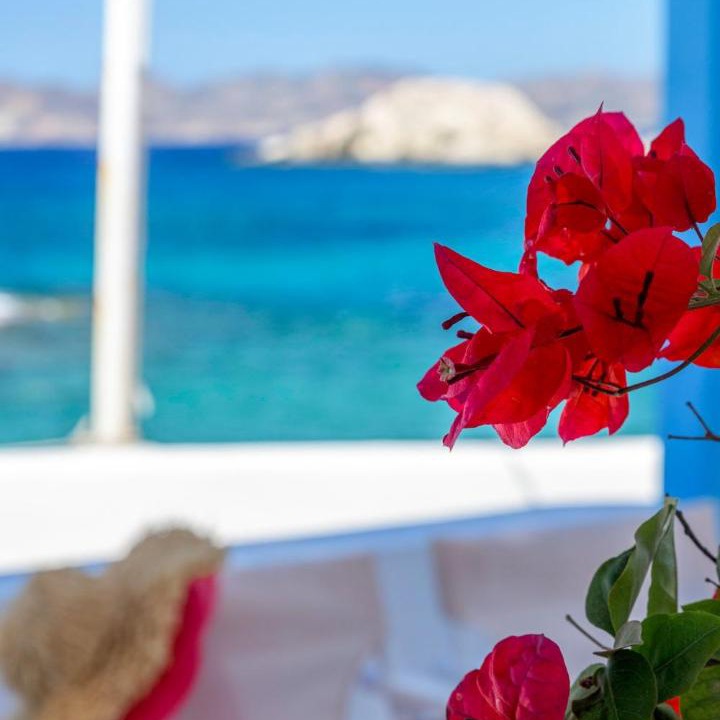 Photo of Patio Balcony in Mandrakia