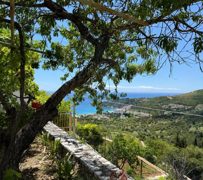 Photo of Others in Himare
