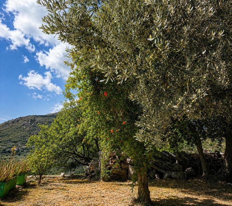 Photo of Others in Himare