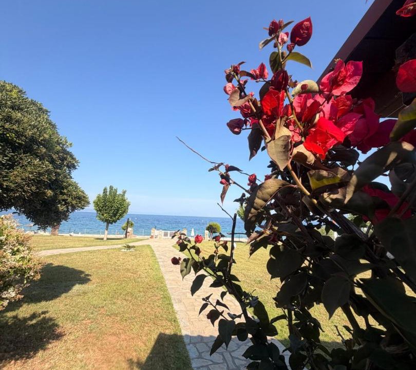 Photo of Others in Sithonia