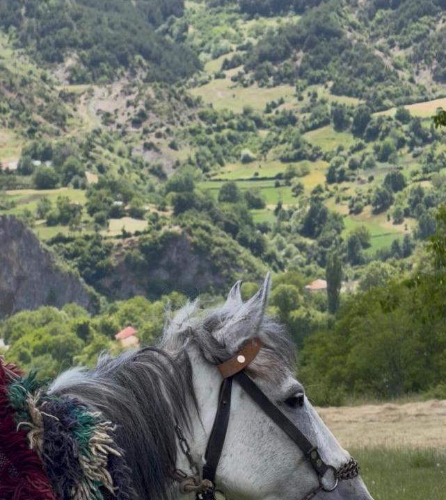 Photo of Others in Korce