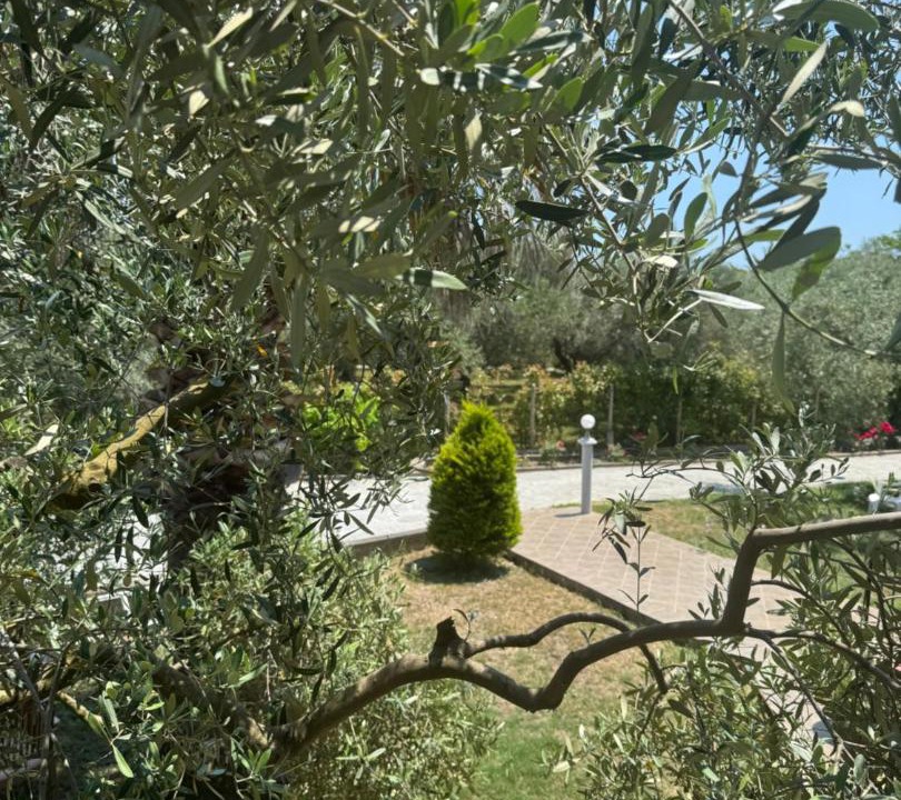 Photo of Others in Makri