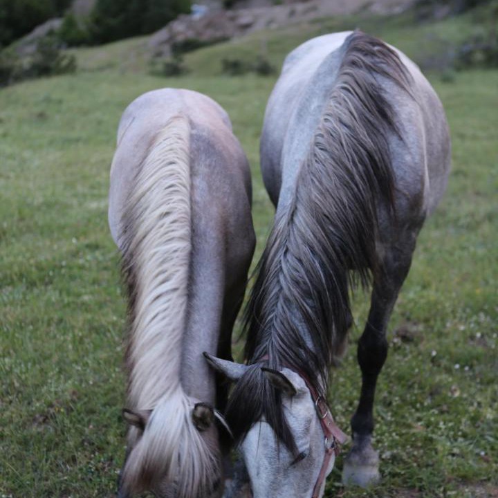 Photo of Others in Kukes County