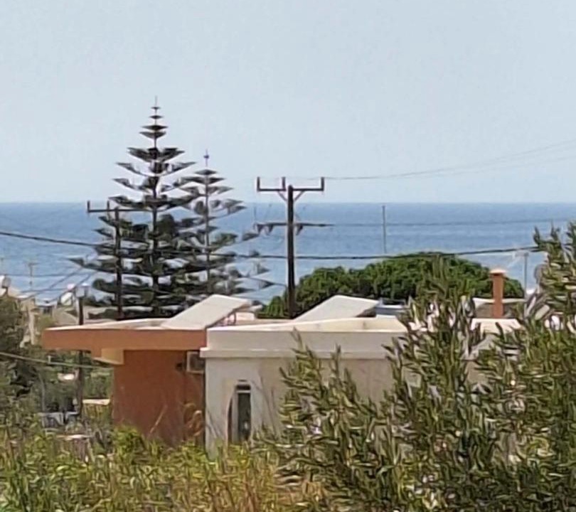 Photo of Others in Kini