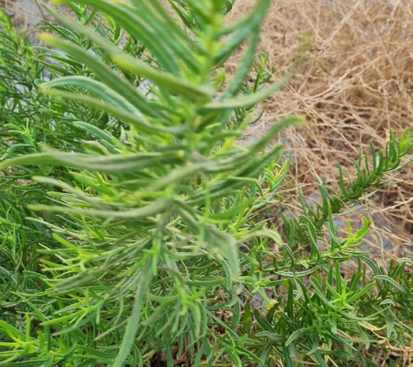 Photo of Outdoor in Syros