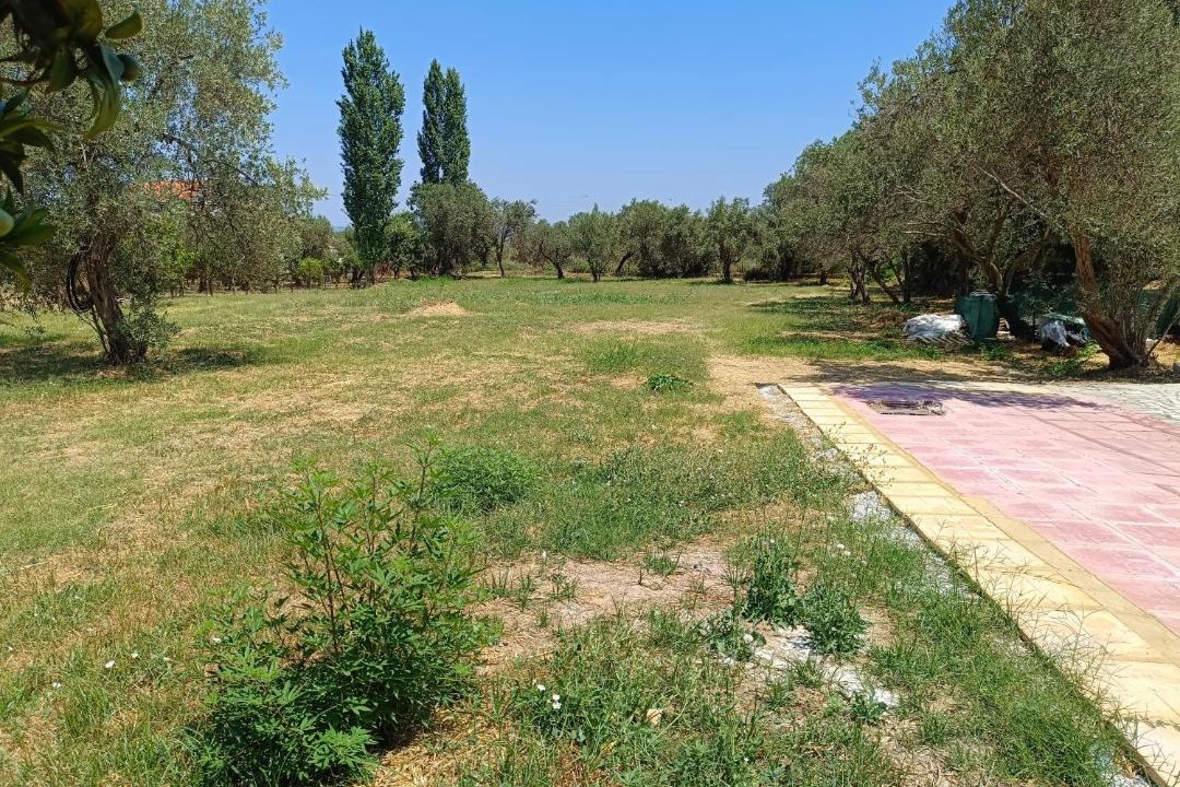 Photo of Others in Pirgi Thermis