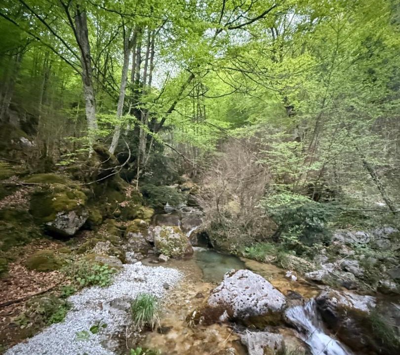 Photo of Others in Dio-Olympos
