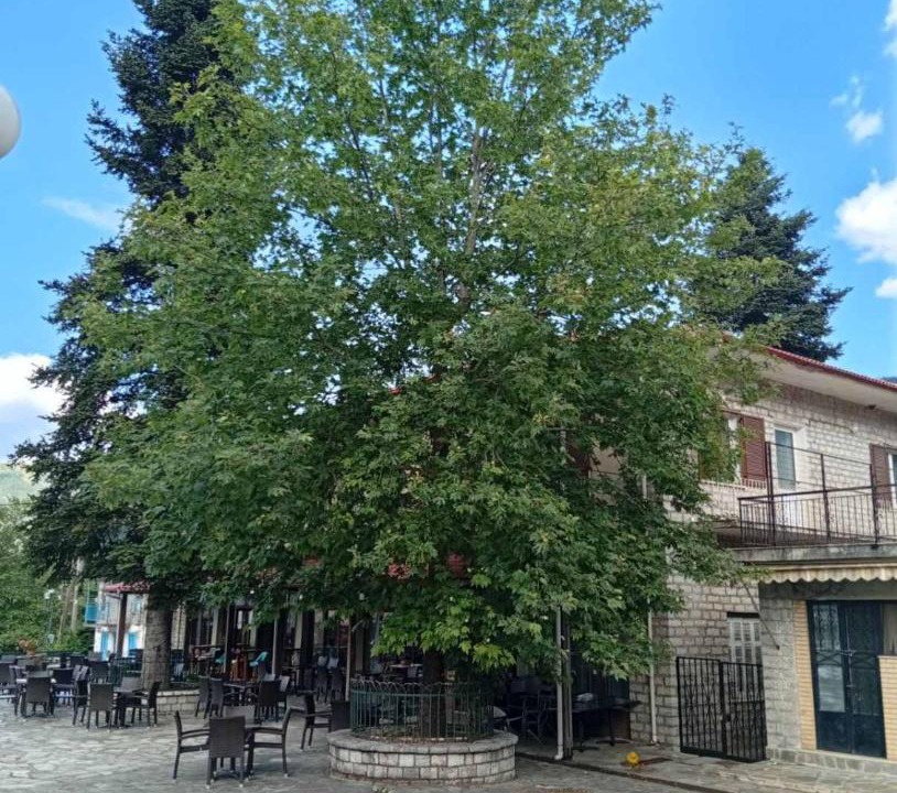 Photo of Others in Dhomnista