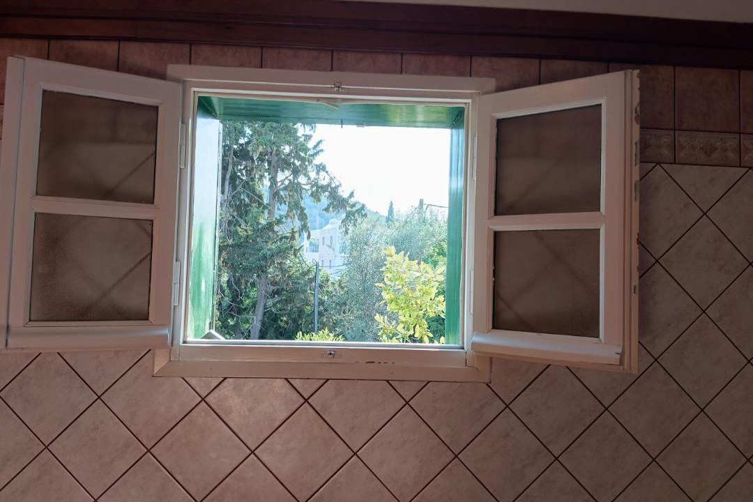 Photo of Others in Asini