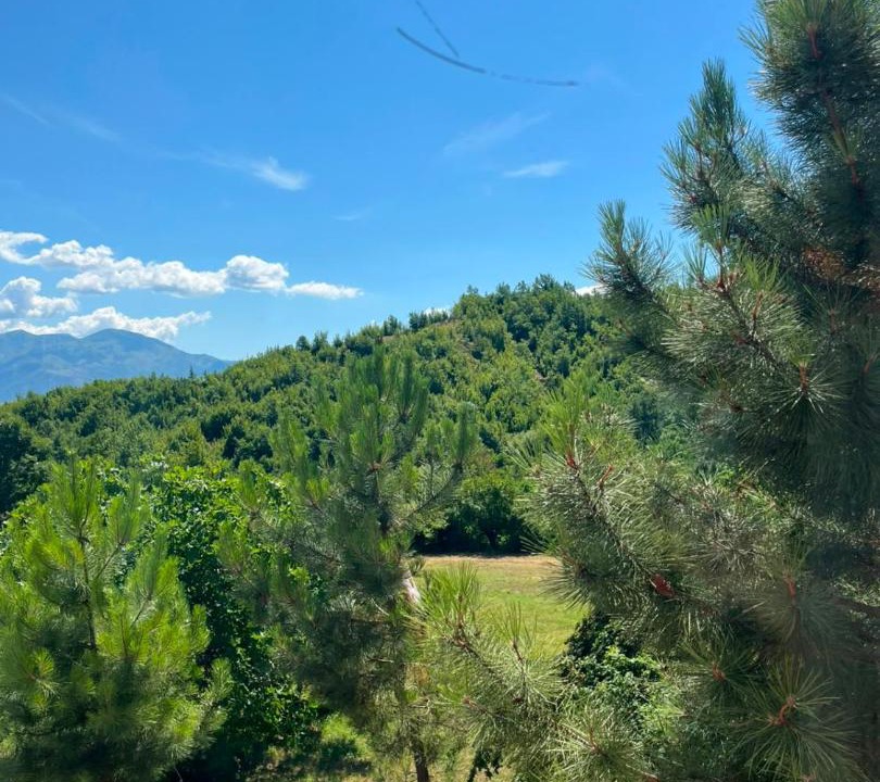 Photo of Others in Sakës
