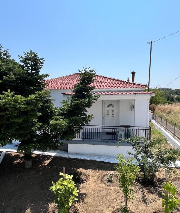 Photo of Others in Avdira
