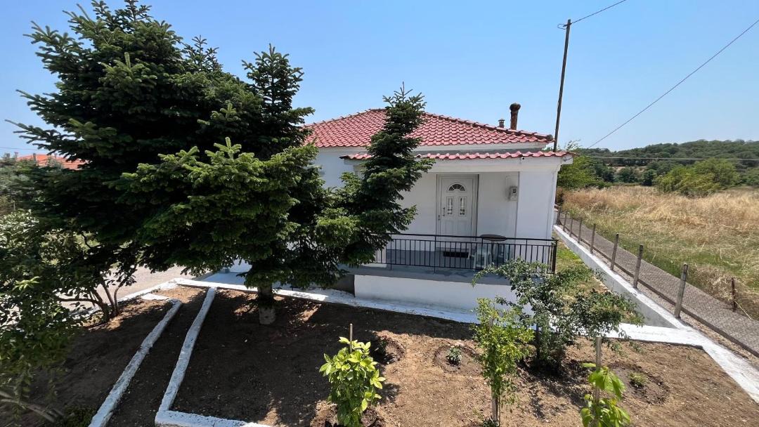 Photo of Others in Avdira
