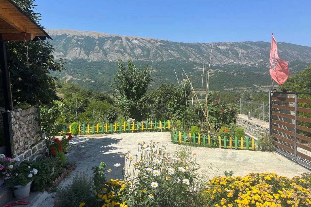 Photo of Others in Sinje