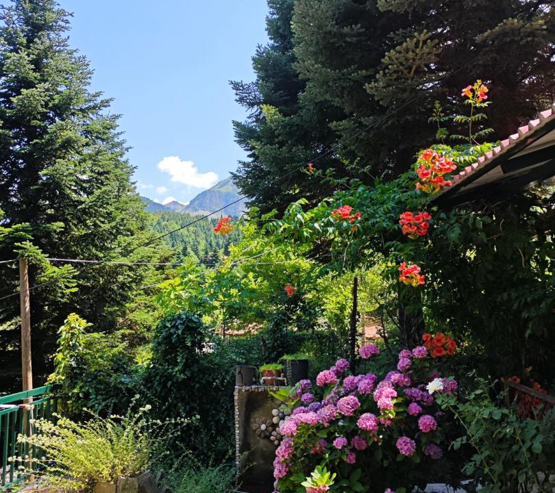 Photo of Others in Melissourgoi