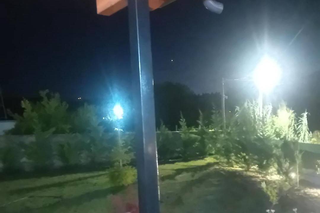 Photo of Others in Sakës