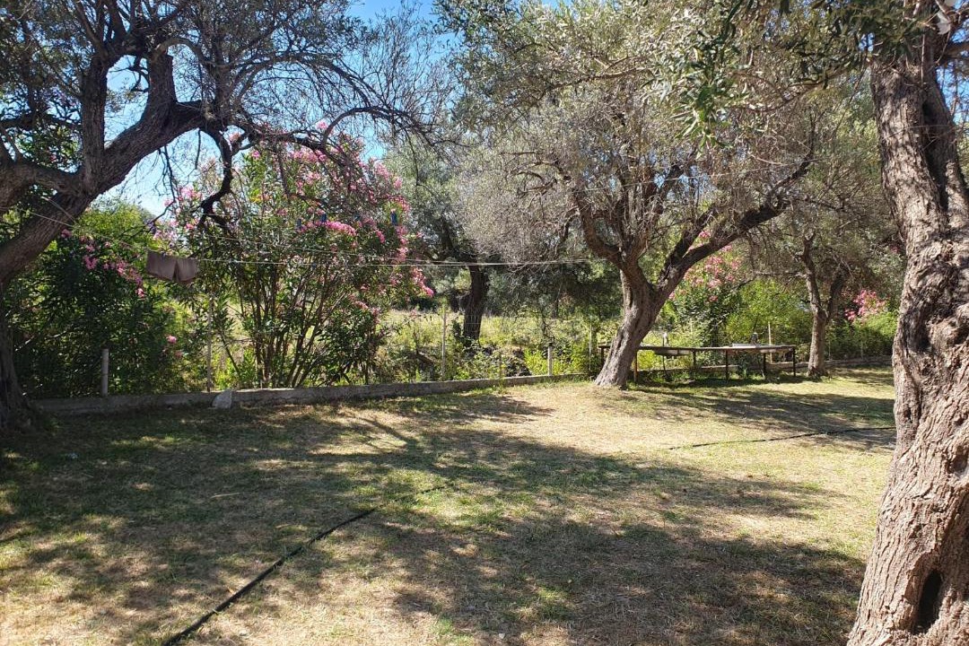 Photo of Outdoor in Borsh