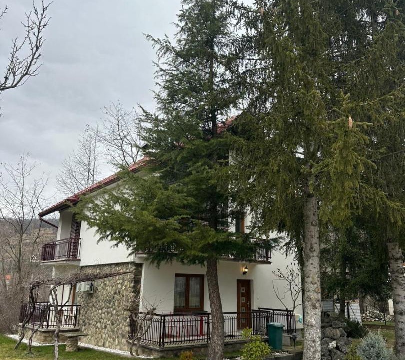 Photo of Others in Brezovice