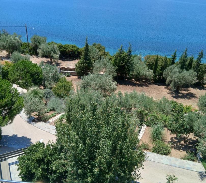 Photo of Others in Mytilene