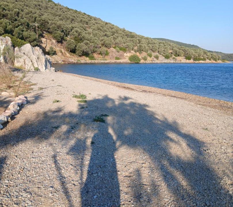 Photo of Others in Mytilene