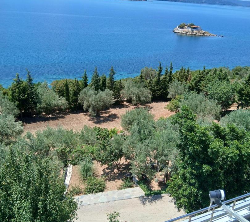 Photo of Others in Mytilene
