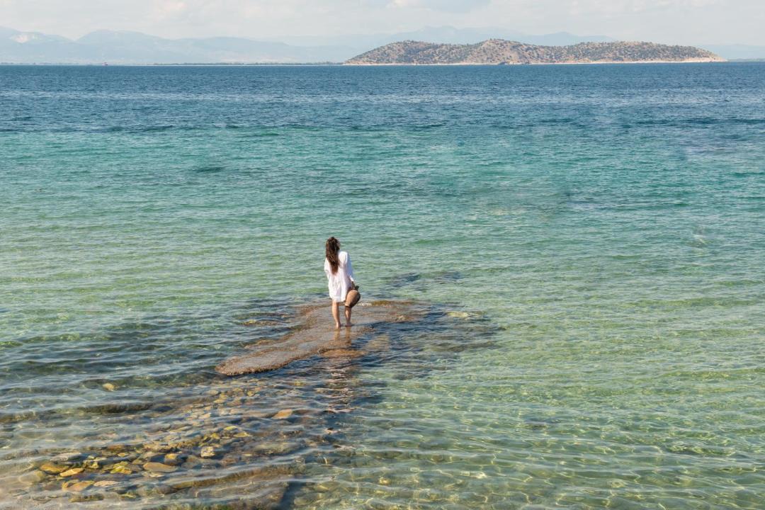 Photo of Others in Thasos Town