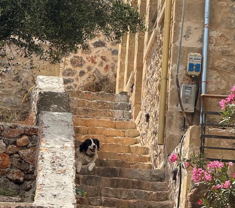 Photo of Others in Kardamyli