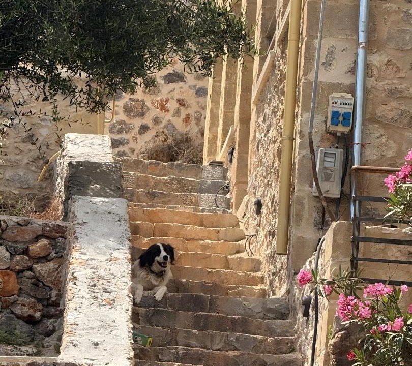 Photo of Others in Kardamyli