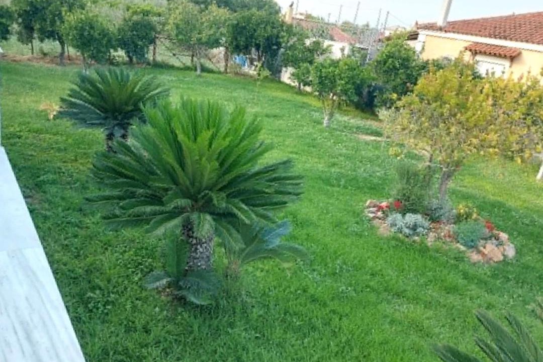Photo of Others in Velon
