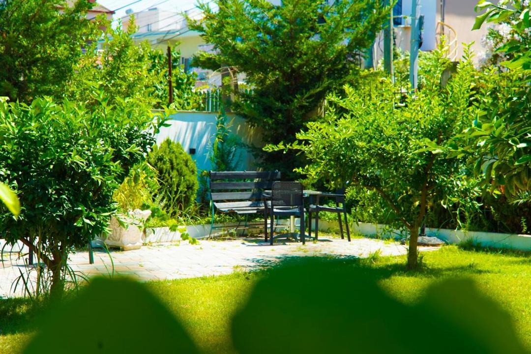 Photo of Others in Durres