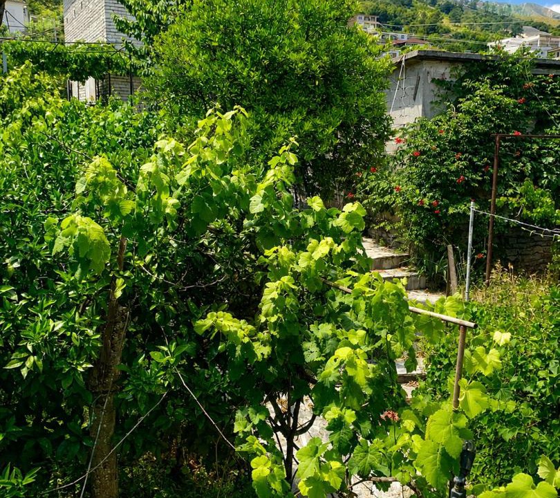 Photo of Others in Gjirokaster