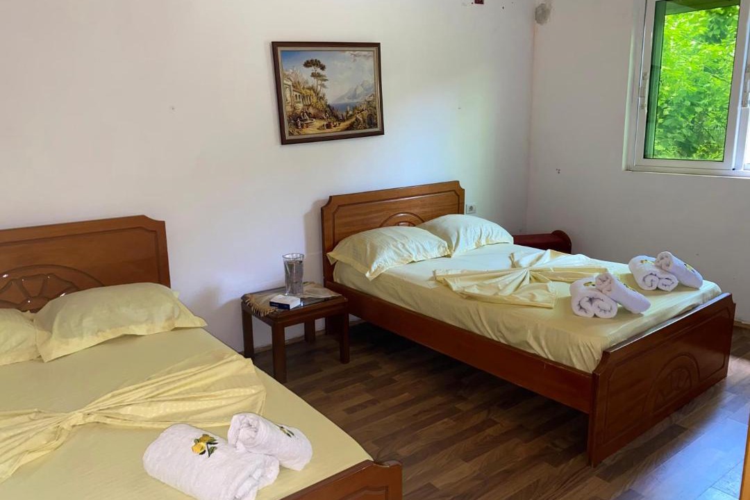 Photo of Others in Gjirokaster