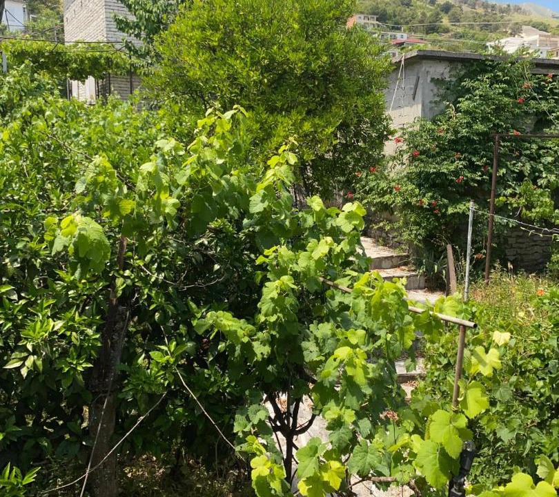 Photo of Others in Gjirokaster