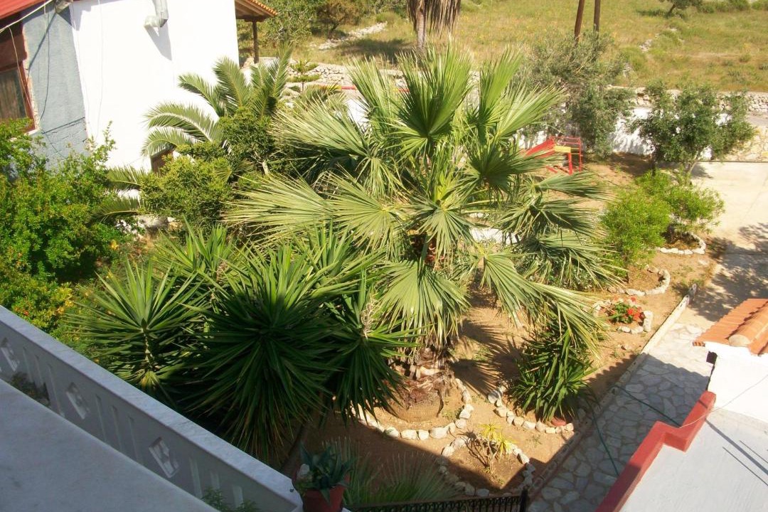 Photo of Others in Vlychadia