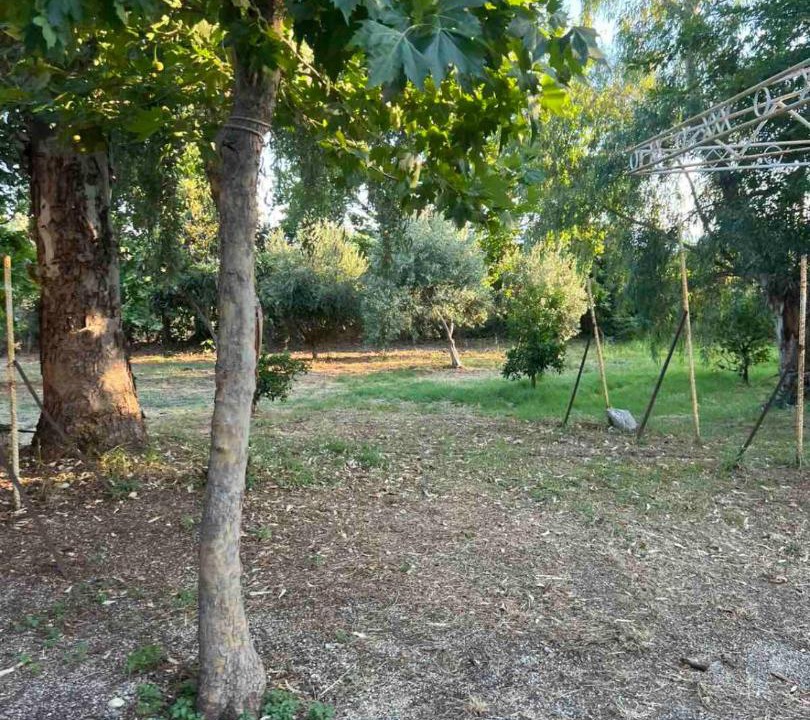 Photo of Others in Amarinthos