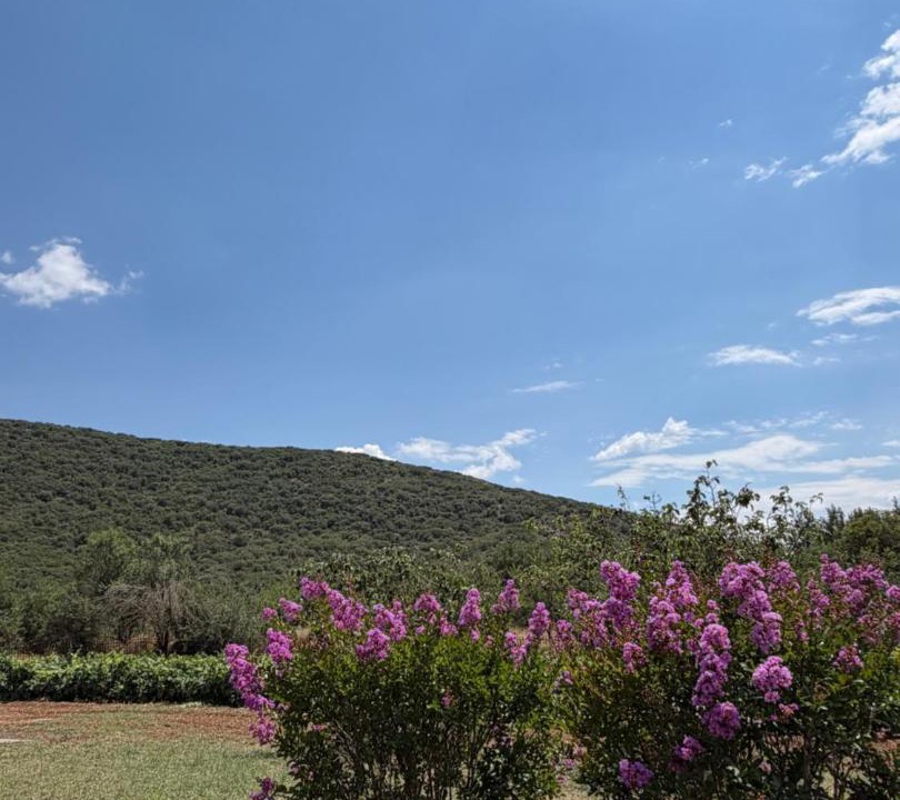 Photo of Others in Lithovounia