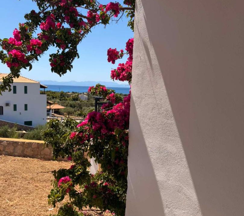 Photo of Others in Elafonisos