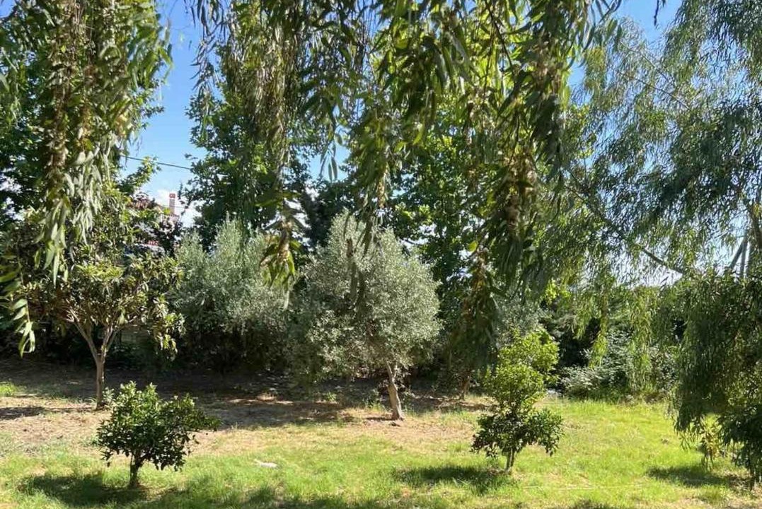 Photo of Outdoor in Amarinthos
