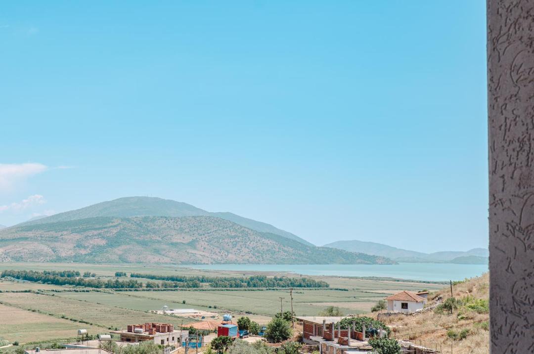 Photo of Others in Aliko