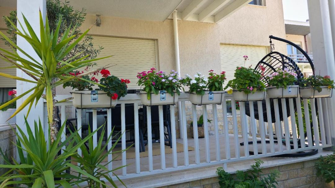 Photo of Patio Balcony in Ishem