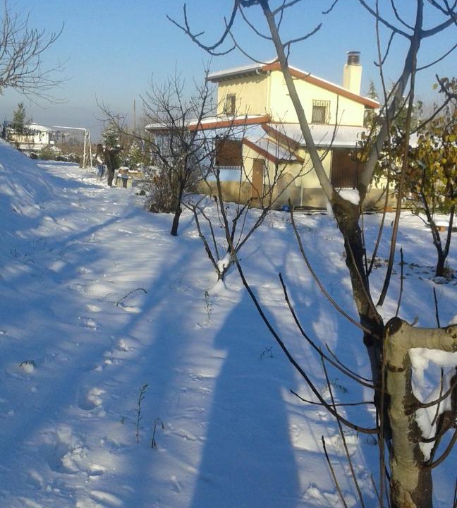 Photo of Others in Veroia