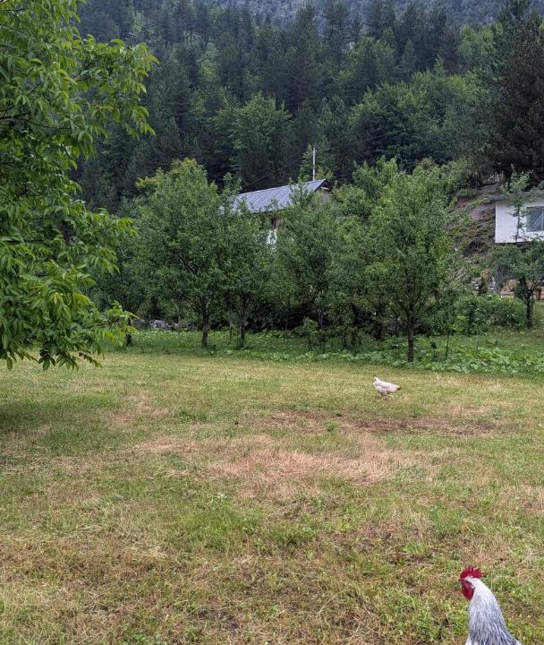 Photo of Others in Valbone
