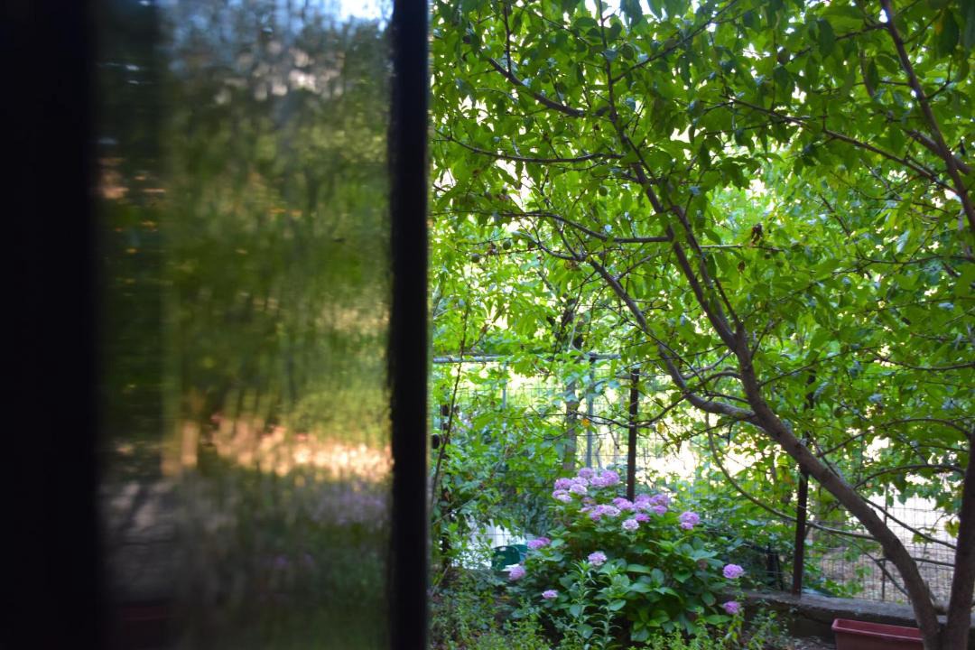 Photo of Others in Samothrace